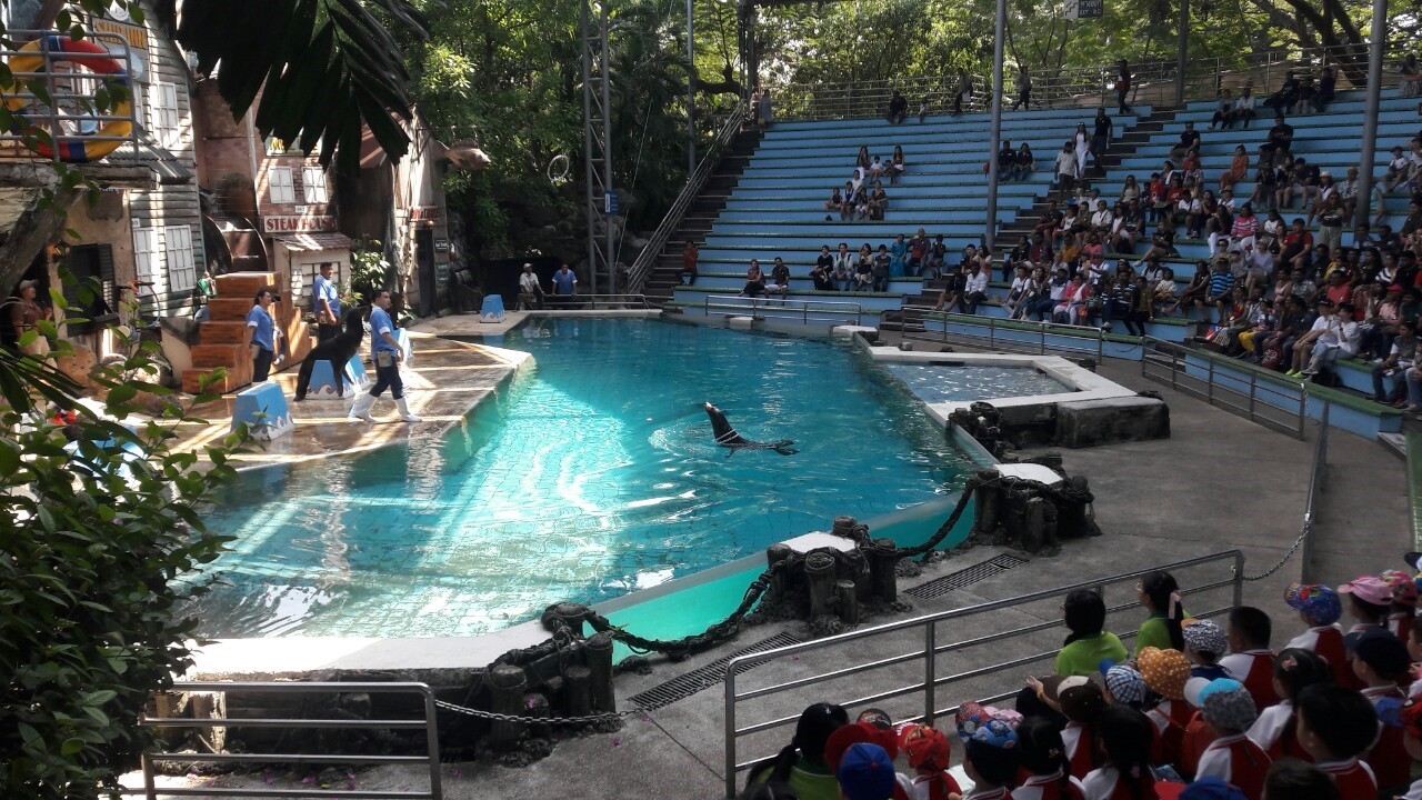 Wednesday 6th of November 2019 174 kindergarten 2 students and 19 teachers went on a field trip at Safari World Zoo, Bangkok